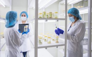 UTPL supera las 4.000 publicaciones en Scopus 1